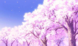 樱花.动漫,绽放青春的幻想世界