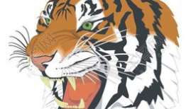 虎动漫,激荡青春，热血沸腾的动漫世界