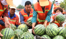 郯城吃瓜最新事件爆料新闻,最新爆料揭示惊人真相